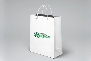 Papir-Bag-tisak-uzorak-tiskani-po-A1-size-UV-printer-Wer-EP6090UV
